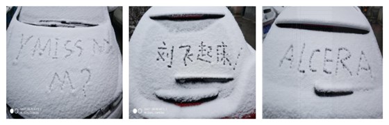 图片5_副本 图片5_副本