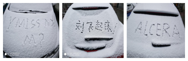 图片5_副本 图片5_副本
